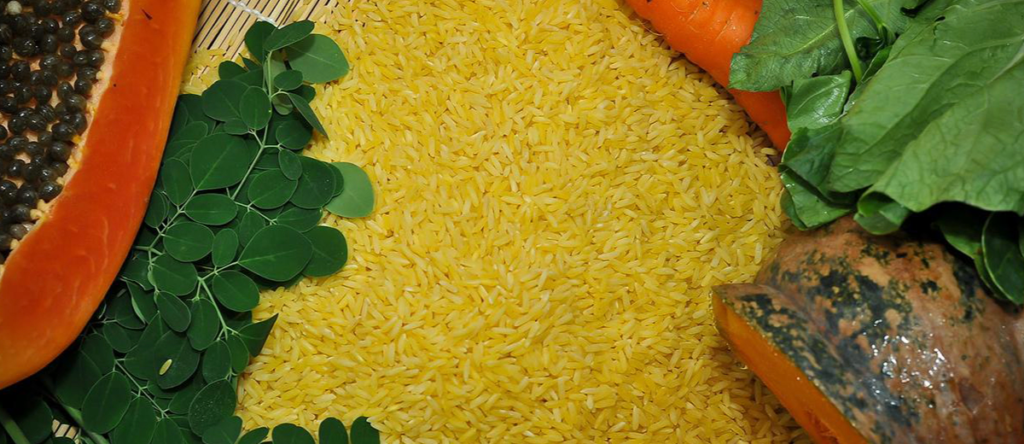 Guerra al Golden Rice
